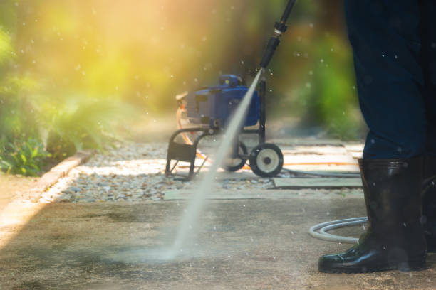 Best Vinyl Siding Pressure Washing in Lower Lake, CA